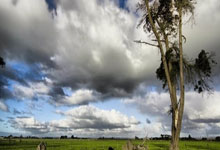 米兰体育-欧冠决赛之夜，拉梅洛完成里程碑