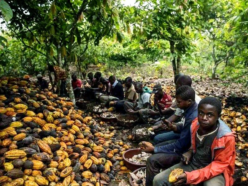 热那亚仍然未能摆脱降级困境，裁判争议不断的简单介绍