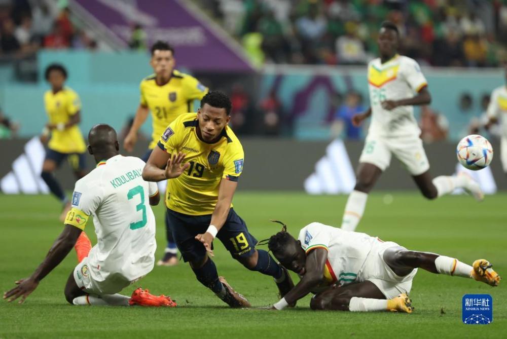 斯里兰卡男篮落败厄瓜多尔,无缘男篮世界杯强的简单介绍 斯里兰卡男篮落败厄瓜多尔,无缘男篮世界杯强的简单介绍